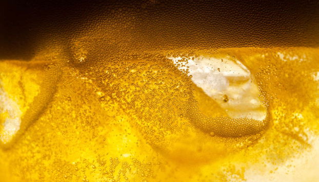 Tournée des bars à Sapporo - Photo 4