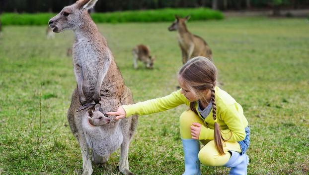 Escursione all'Australia Zoo - Foto 4