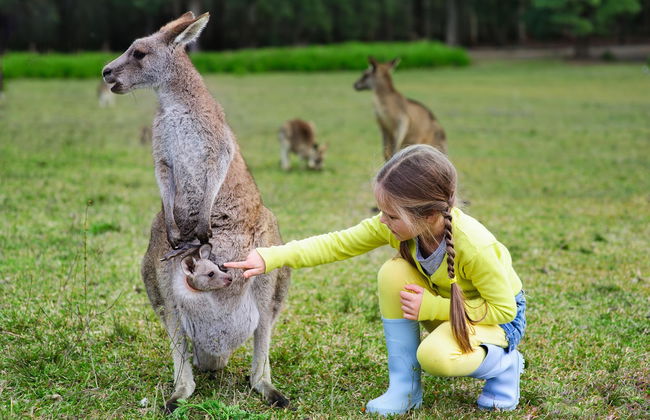 Excursion à Australia Zoo - Photo 4