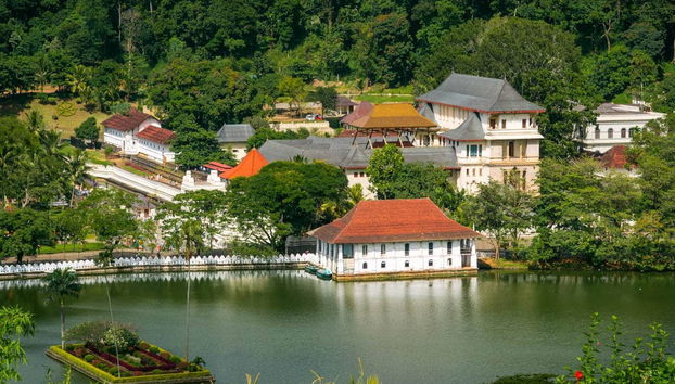 Private Kandy Day Trip - Photo 2