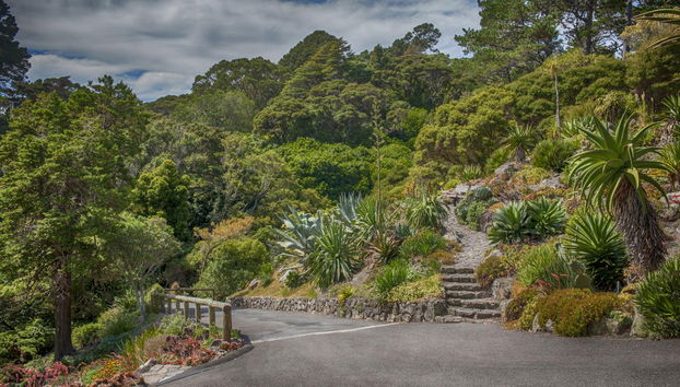 Visite de Wellington - Photo 3