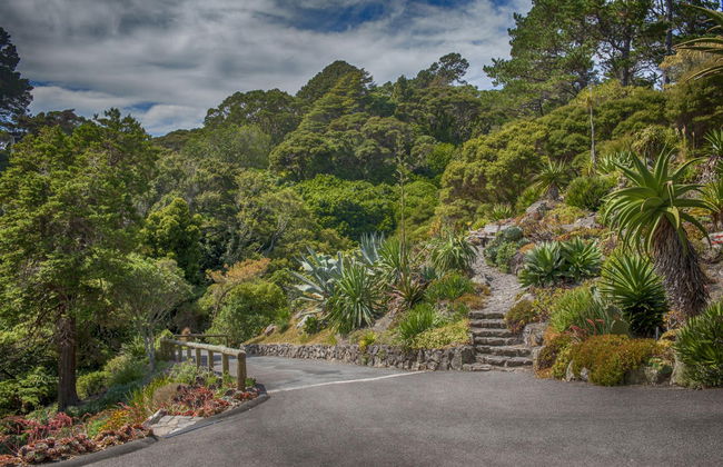 Visite de Wellington - Photo 3