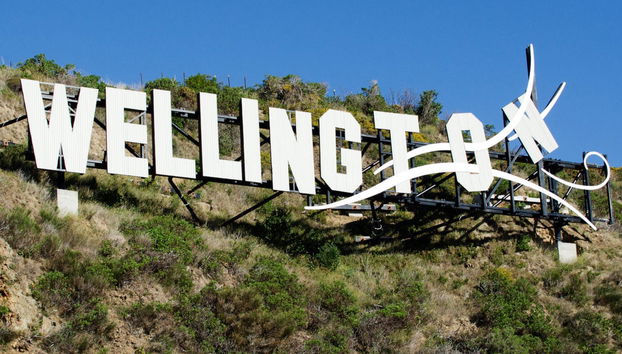 Visite de Wellington - Photo 4