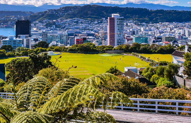 Visite de Wellington - Photo 7