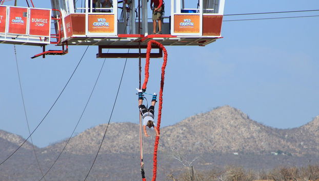 Jumping into the air from the platform