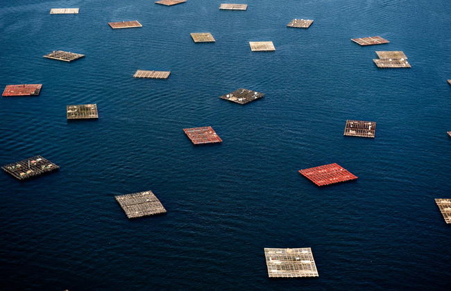 Giro in barca sulla Ria + Degustazione di cozze - Foto 1