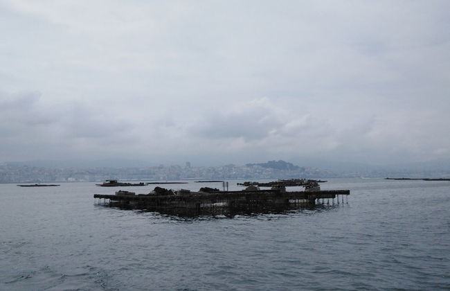 Paseo en barco por la ría + Degustación de mejillones - Photo 3