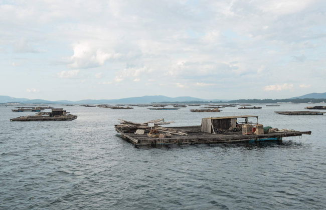 Giro in barca sulla Ria + Degustazione di cozze - Foto 2