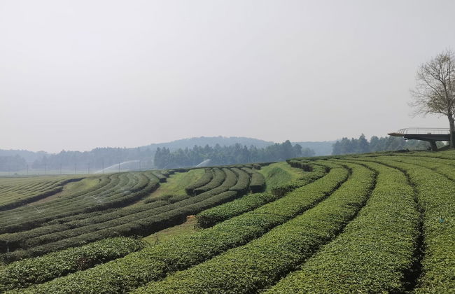 Chiang Rai Day Trip - Foto 3