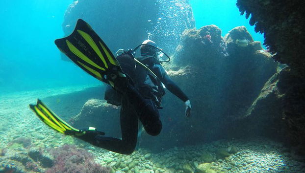 Beginner's Dive on Berlenga Grande - Foto 2
