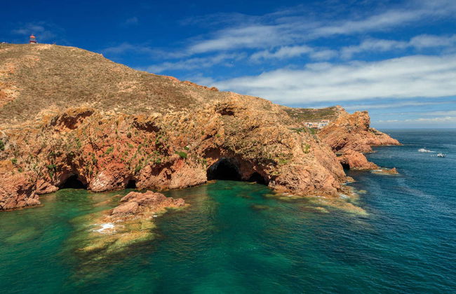 Escursione alle isole Berlengas e alle sue grotte - Foto 4