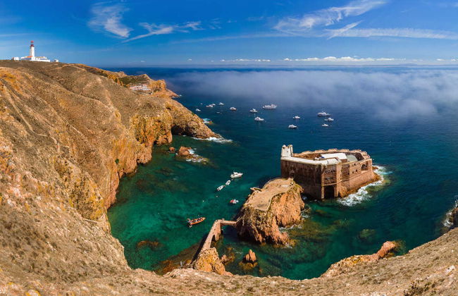 Beginner's Dive on Berlenga Grande - Foto 4