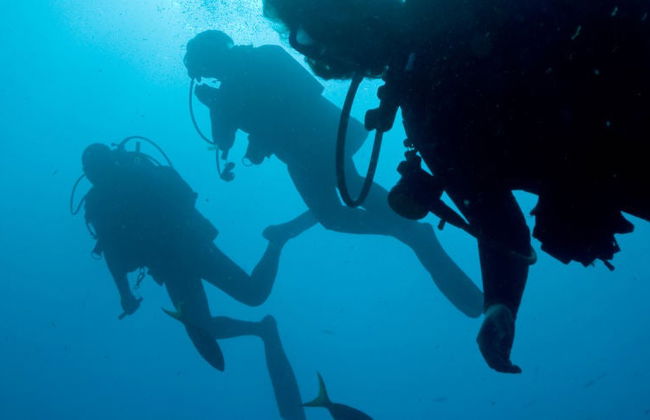 Immersione per principianti a Berlenga Grande - Foto 5