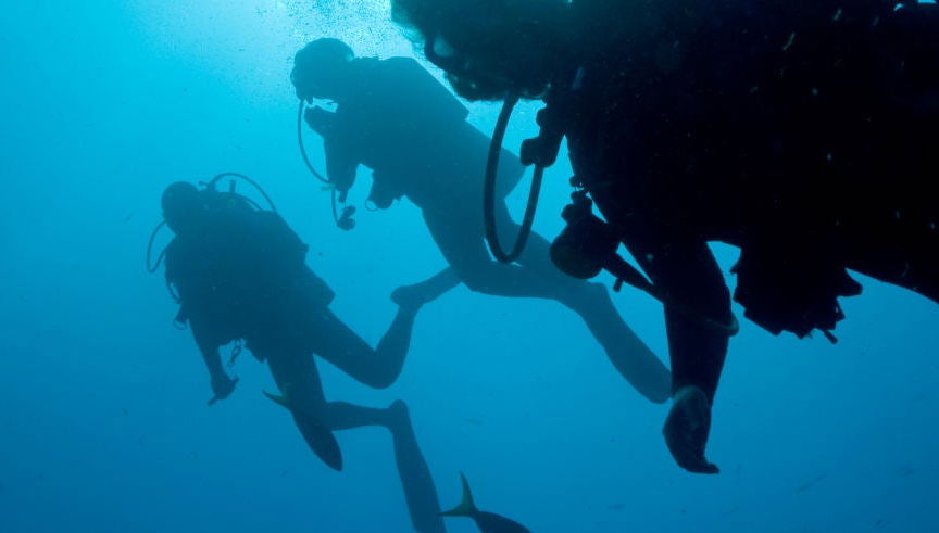 Beginner's Dive on Berlenga Grande