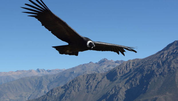 Excursion privée au refuge de Los Manantiales - Photo 2