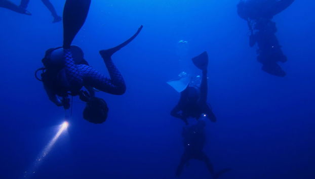 Immersione notturna a Malapascua - Foto 2