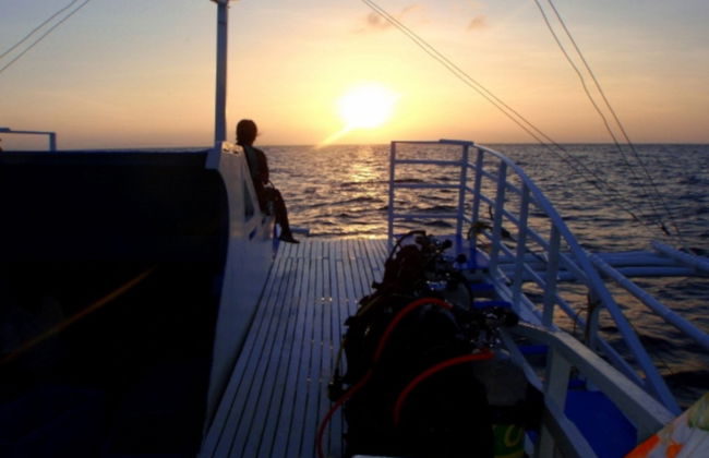 Buceo nocturno en Malapascua - Foto 2