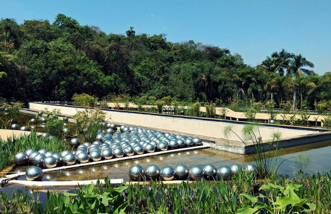 Inhotim Institute Tour - Photo 2