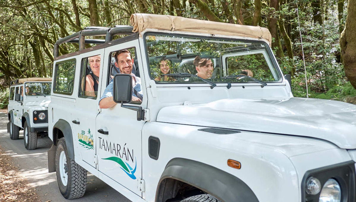 La Gomera Jeep Tour - Photo 1