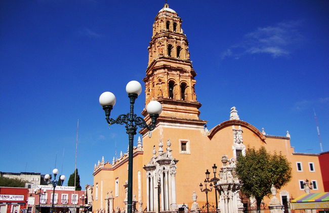 Fresnillo & Plateros Excursion - Photo 1