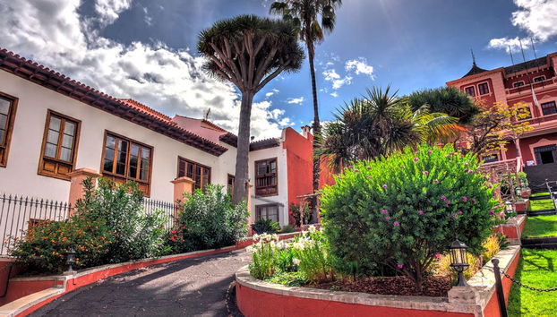 Excursión a Los Gigantes, Icod, Puerto de la Cruz y Candelaria - Foto 4