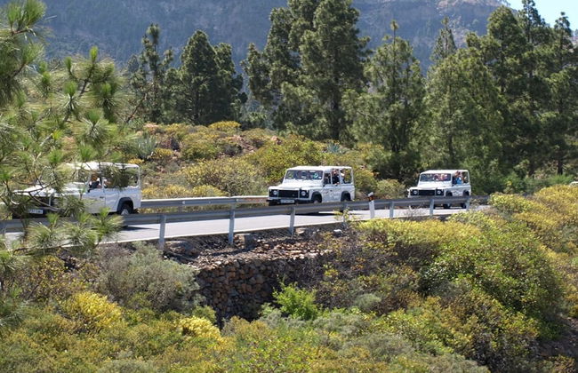 Jeep safari por el sur de Gran Canaria - Foto 2