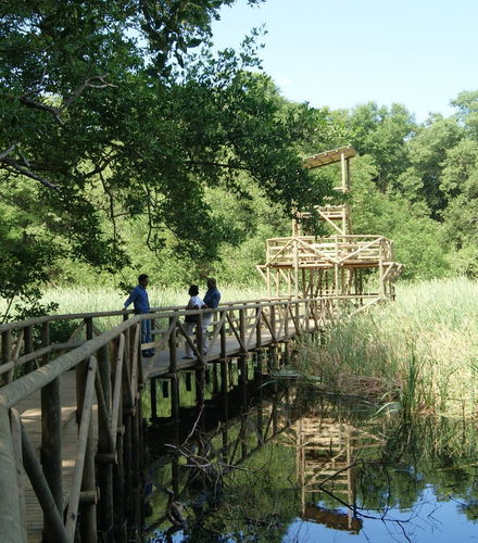 Foto de Senderismo por la Vía Parque Isla de Salamanca