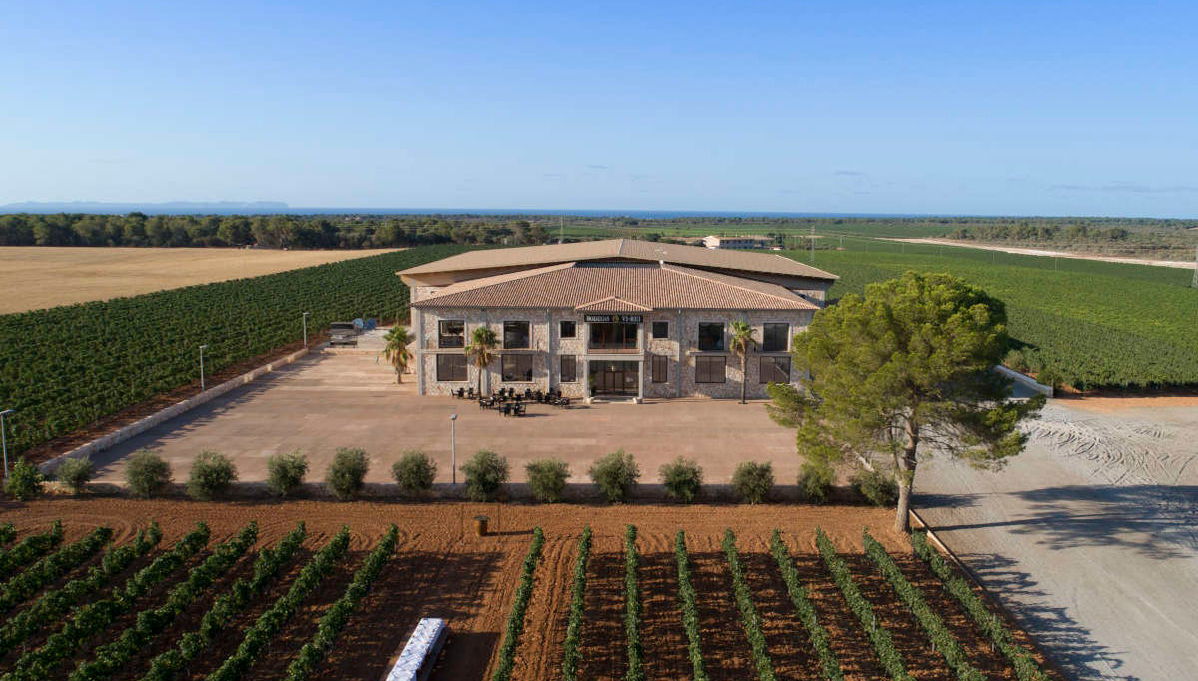 Visita a las bodegas Vi Rei - Foto 1