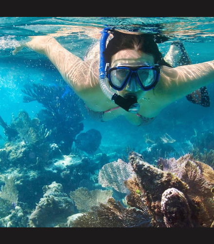 Foto de Snorkel en Puerto Morelos