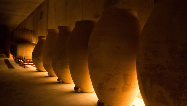 Visita a la bodega MontRubí - Foto 3