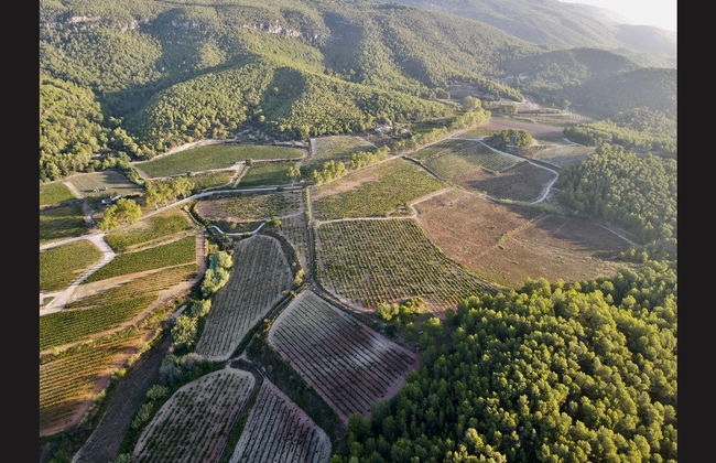 MontRubi Winery Visit - Photo 8