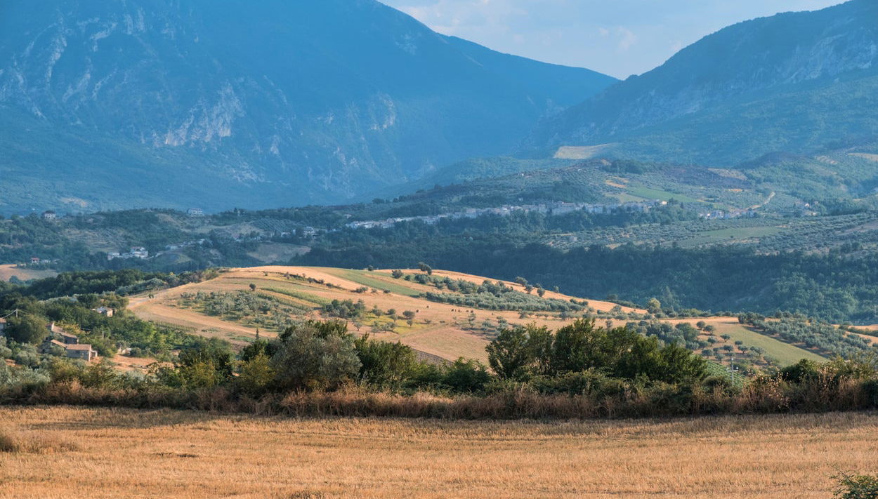 Visite du palmenti de Pietranico - Photo 1