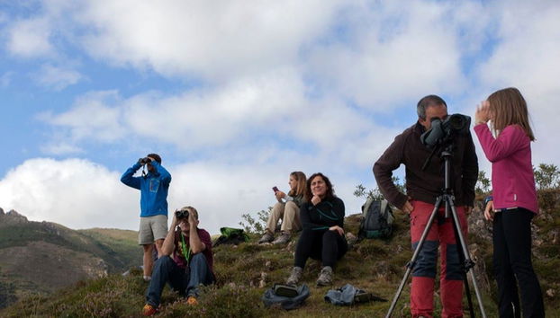 Cantabrian Brown Bear Sighting - Photo 5