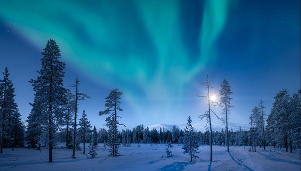 Aurora Borealis Snowshoe Tour - Photo 3