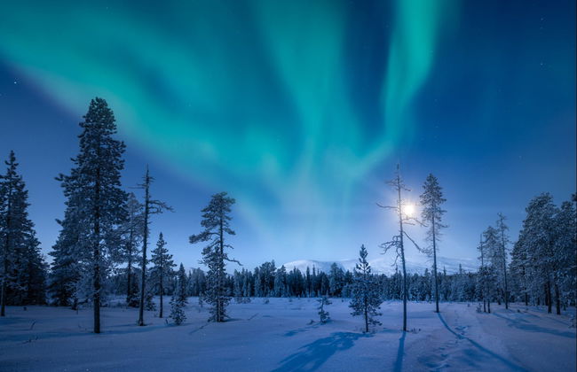 Aurora Borealis Snowshoe Tour - Photo 3