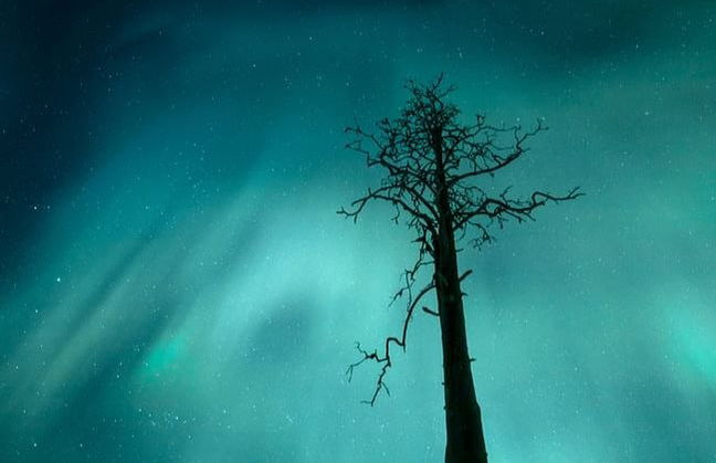 Paseo en moto de nieve bajo la aurora boreal - Foto 4