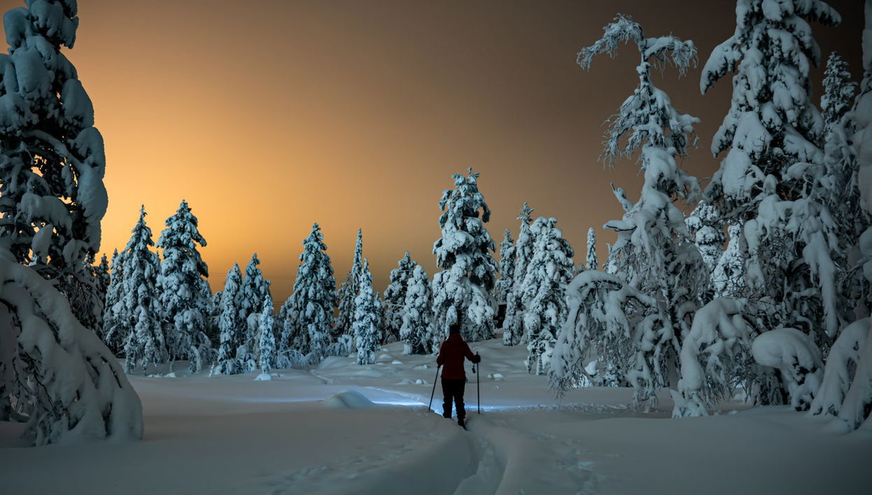 Visite à la découverte des aurores boréales en raquettes à neige - Photo 1