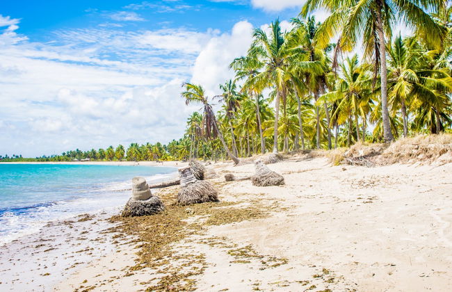 Escursione privata da Porto de Galinhas - Foto 1
