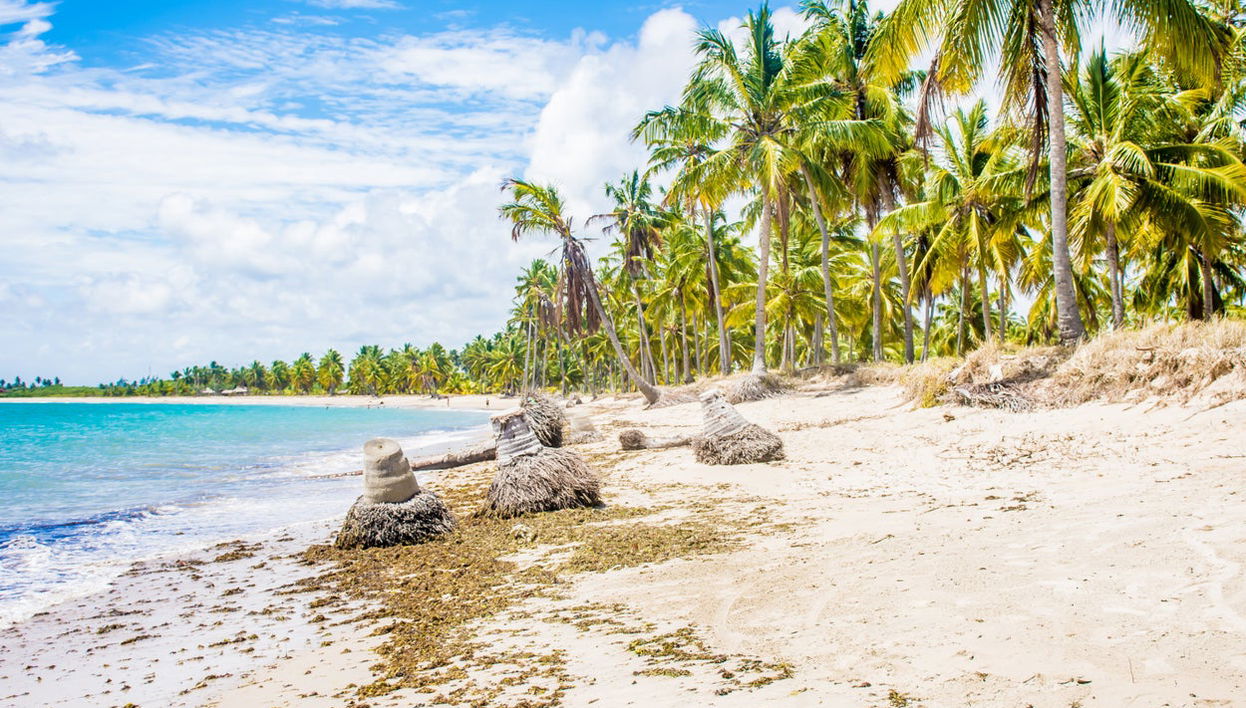 Porto de Galinhas Private Day Trips - Photo 1