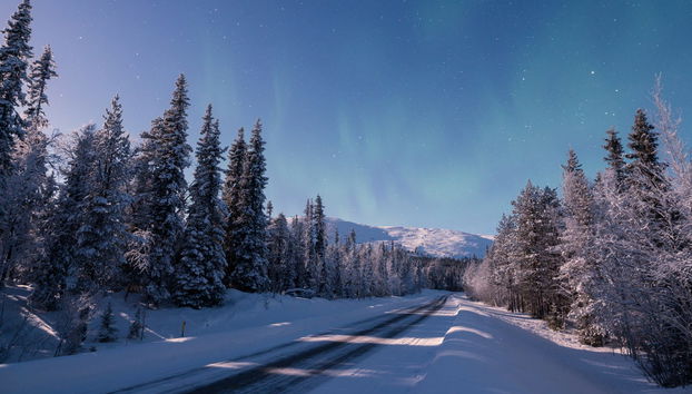 Balade en motoneige à Ylläsjärvi - Photo 2