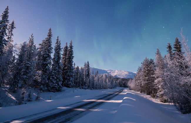 Ylläsjärvi Snowmobile Tour - Photo 2