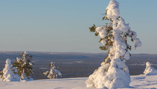 Pallas-Yllästunturi Ski Touring - Photo 4