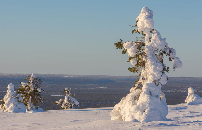Pallas-Yllästunturi Ski Touring - Photo 4
