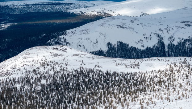 Pallas-Yllästunturi Ski Touring - Photo 5