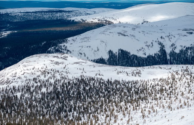 Pallas-Yllästunturi Ski Touring - Photo 5
