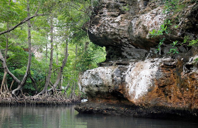 Senderismo y paseo en barco por el Parque Nacional Los Haitises - Foto 2