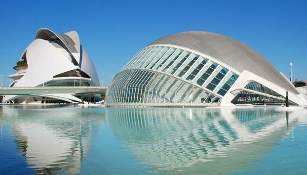 Valencia Oceanogràfic and Hemisfèric Day Trip - Foto 3