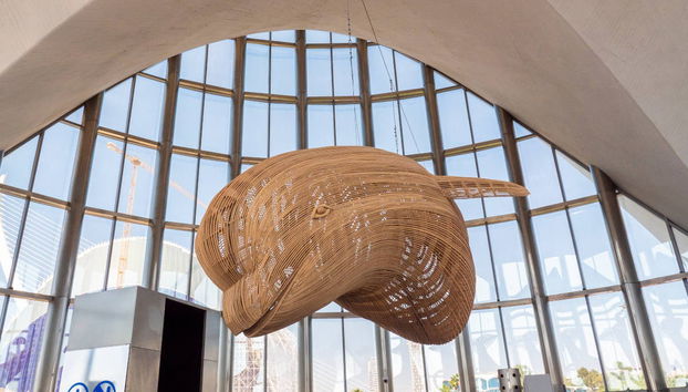 Excursão a Valência + Oceanogràfic e Hemisfèric - Foto 3