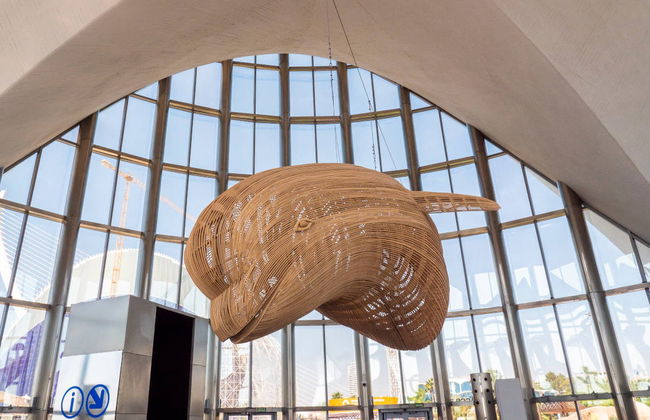 Escursione a Valencia + Oceanogràfic ed Hemisfèric - Foto 5