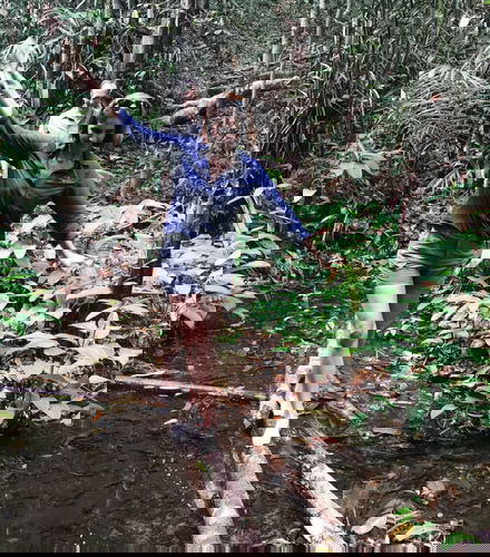 Foto de Excursión a la selva amazónica